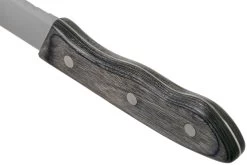 Amefa Hercule XXL 4917 Couteaux à Steak, 3 Pièces -Couteaux De Cuisine AM491715BC08SK3 04 amefa