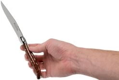 Fontenille Pataud Laguiole Set De 2 Couteaux à Steak Amourette, LTC2A -Couteaux De Cuisine FPLTC2A 06 fontenille pataud