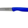 Robert Herder Straight Classic Couteau à éplucher Carbone, Bleu, 8,5 Cm