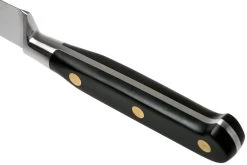 Lion Sabatier Idéal Couteau D'office 10 Cm, 711080 -Couteaux De Cuisine SA1372 04 04 lion sabatier v202006