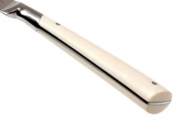 Lion Sabatier Edonist Perle Couteau D'office 10 Cm, Blanc, 806381 -Couteaux De Cuisine SA806381 04 lion sabatier edonist perie sa806381 04