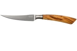 Saladini Ensemble 6 Pièces Couteaux à Steak 23 Cm, Ensemble Cadeau -Couteaux De Cuisine SL4001VL6 03 saladini sl4001vl6 03