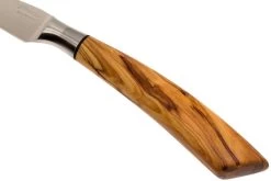 Saladini Ensemble 6 Pièces Couteaux à Steak 23 Cm, Ensemble Cadeau -Couteaux De Cuisine SL4001VL6 06 saladini sl4001vl6 06