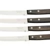 Tramontina Churrasco 92000-001, Set De 4 Couteaux à Steak/pizza