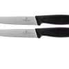 Victorinox SwissClassic Couteaux à Steak/pizza Noir, Set De 2, 6.7933.12B