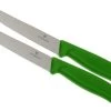 Victorinox SwissClassic Couteaux à Steak/pizza Vert, Set De 2, 6.7936.12L4B
