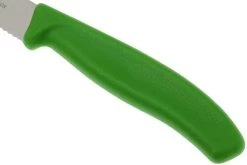 Victorinox SwissClassic Couteaux à Steak/pizza Vert, Set De 2, 6.7936.12L4B -Couteaux De Cuisine VT6 7936 12L4B 03 victorinox steakmes groen vt vt6 7936 12l4b 03