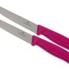 Victorinox SwissClassic Couteaux à Steak/pizza Rose, Set De 2, 6.7936.12L5B