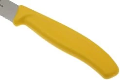 Victorinox SwissClassic Couteaux à Steak/pizza Jaune, Set De 2 6.7936.12L8B -Couteaux De Cuisine VT6 7936 12L8B 03 victorinox steakmes geel vt vt6 7936 12l8b 03