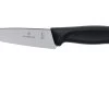 Victorinox SwissClassic 6.8003.12G Couteau D'office 12 Cm, Noir