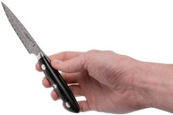 Bob Kramer By Zwilling Euro Stainless Couteau D'office 10 Cm, 34890-101-0 -Couteaux De Cuisine ZW34890 101 0 06 zwilling bob kramer zw34890 101 0 06