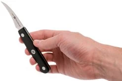 Zwilling Gourmet Couteau à éplucher Bec D'oiseau 6 Cm, 36110-061 -Couteaux De Cuisine ZW36110 061 0 06 zwilling gourmet zw36110 061 0 06